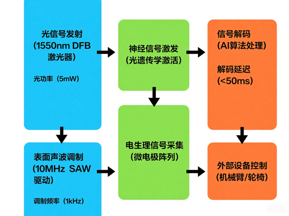 腦機(jī)接口光開關(guān)神經(jīng)調(diào)控系統(tǒng)工作流程圖